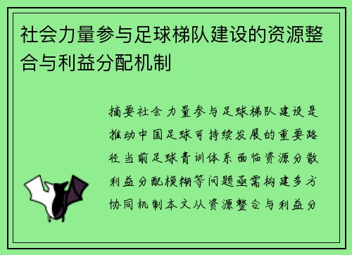 社会力量参与足球梯队建设的资源整合与利益分配机制