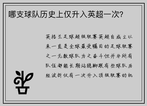 哪支球队历史上仅升入英超一次？
